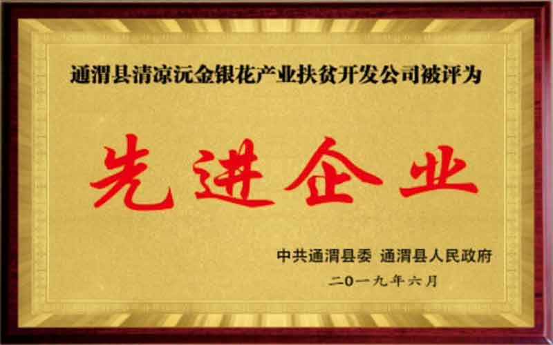 2019年先進企業